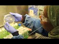 Talk: Fighting superbugs with tiny warriors