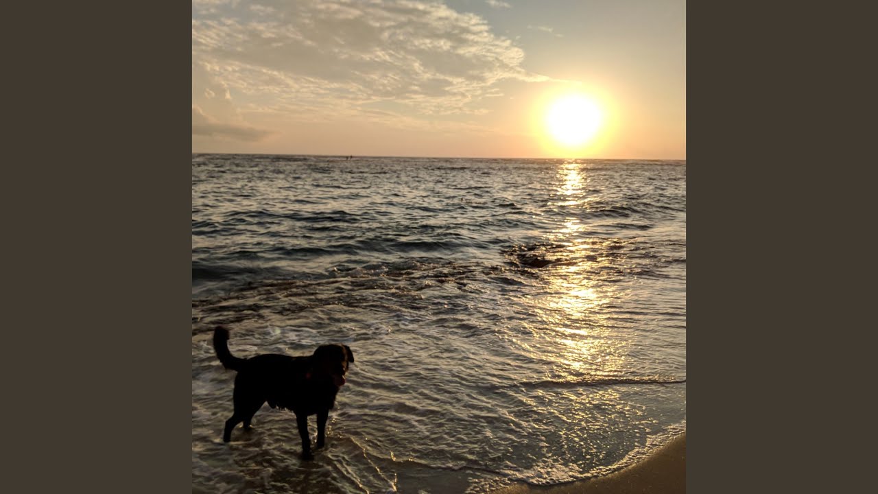 Eternal Ocean Tranquility for Kitties