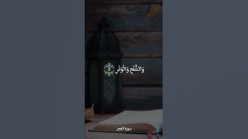 سورة الفجر: الآية 01-05 (ماهر المعيقلي)