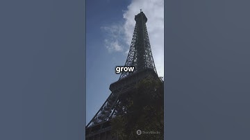 Did You Know the Eiffel Tower Can Grow!