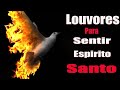 As Melhores Hinos Evangélicos Mais Tocadas 2024 🙏Louvores Para Sentir O Espírito Santo 🙏Com Letra.