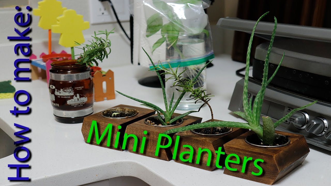 DIY Mini Planters How to Make Adorable Miniature Planters for Your Home or as Gifts YouTube