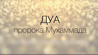 Дуа-мольба пророка Мухаммада после визита в Таиф