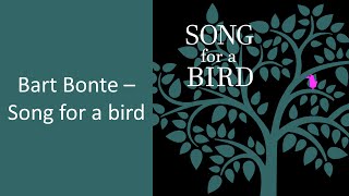 Bart Bonte - Song for a bird