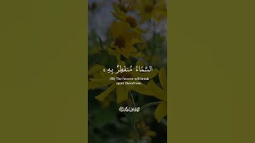 تلاوة نادرة مميزة 🍁 ﴿ السَّمَاءُ مُنفَطِرٌ بِهِ ۚ كَانَ وَعْدُهُ مَفْعُولًا ﴾