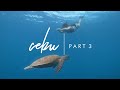 Cebu 2022 Part 3 Travel Vlog by Yna Mendez | YnaMendez.com