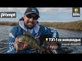 ТОП-5 по мелководью. Алексей Ивашков. Anglers Prompt