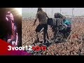 Eddie Vedder revisits his most famous stagedive 26 years later - Pinkpop 2018