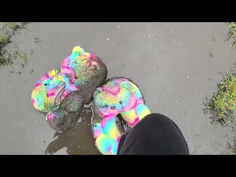 commission( teddy bears in mud)