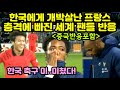 한국이 3대 0으로 강호 프랑스를 완파하자 충격에 빠진 세계 축구팬들의 엇갈린 반응ㅣ한국 이기겠다던 중국반응 포함