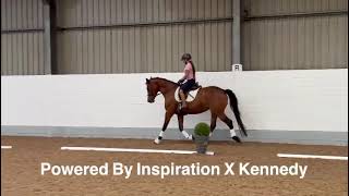 Advert reference - 310271