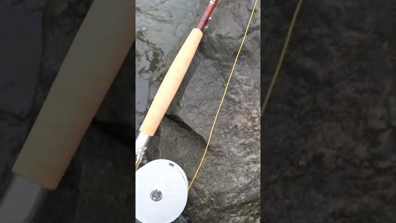 Iwana minami 3.@ Echo River glass 8.6 ft.#5 line