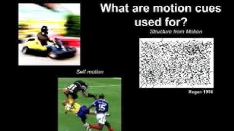 V2 in Motion Perception