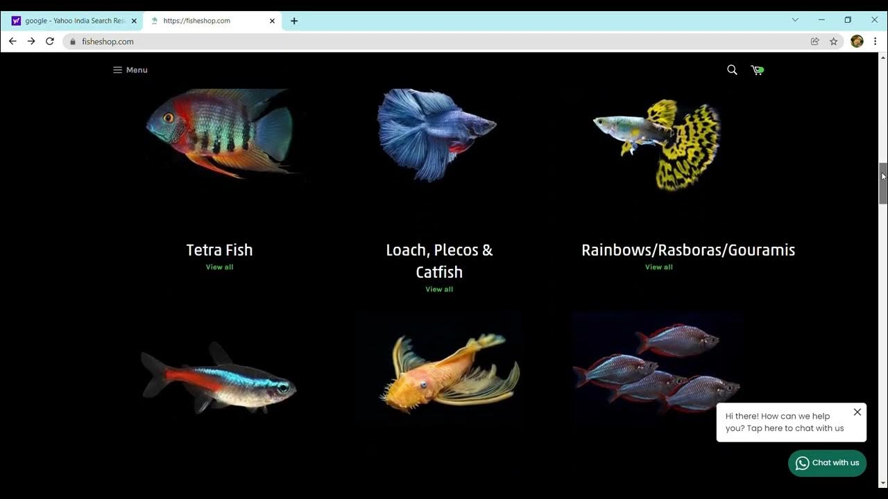 HOW TO BUY AQUARIUM LIVE FISH ONLINE WEBSITE CHEAPEST