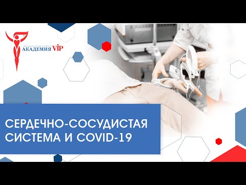 Сердечно-сосудистая система и COVID-19: варианты и поражения, методы диагностики и реабилитации