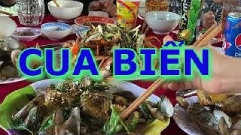 cảng tân tập ,long an tập 4