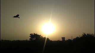 So much peace, Good Morning, Watch Sunrise,