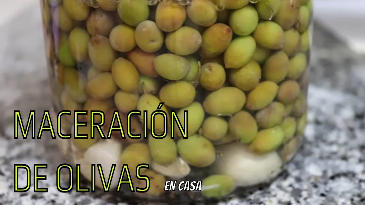 Cómo MACERAR ACEITUNAS de manera NATURAL