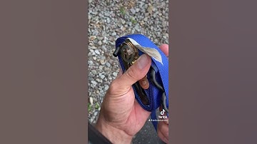 Ratchet strap tip #diy #tool #tip #helpful #trending #youtubeshorts #tipsandtricks