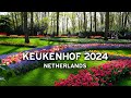  keukenhof avril 2024  paysbas   4k