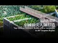 嶺南新地標：中國頂尖大師打造，口碑爆了 Top Chinese Architect Builds a New Landmark in the Lingnan Region