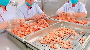 Quy trình chế biến Ruốc Tôm Vân Đồn Hạ Long, Đảm bảo an toàn vệ sinh thực phẩm