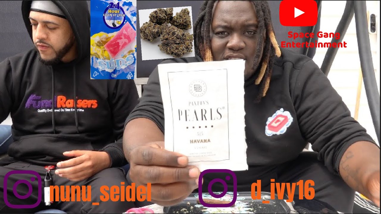 Bay Area strain review from the Fundraisers (Suds) 24 hour clean up crew