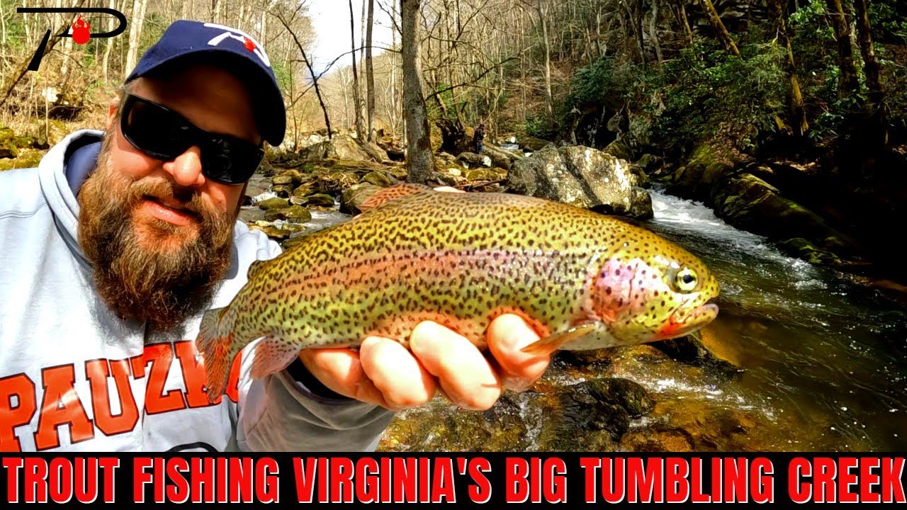 Big Tumbling Creek Trout Fishing (Non Fee Season) YouTube