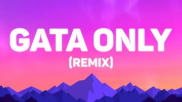 FloyyMenor - Gata Only (Remix)(Letras)