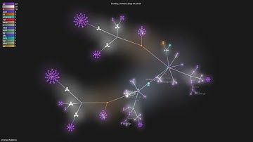 shoriwe/fullproxy - Gource visualisation