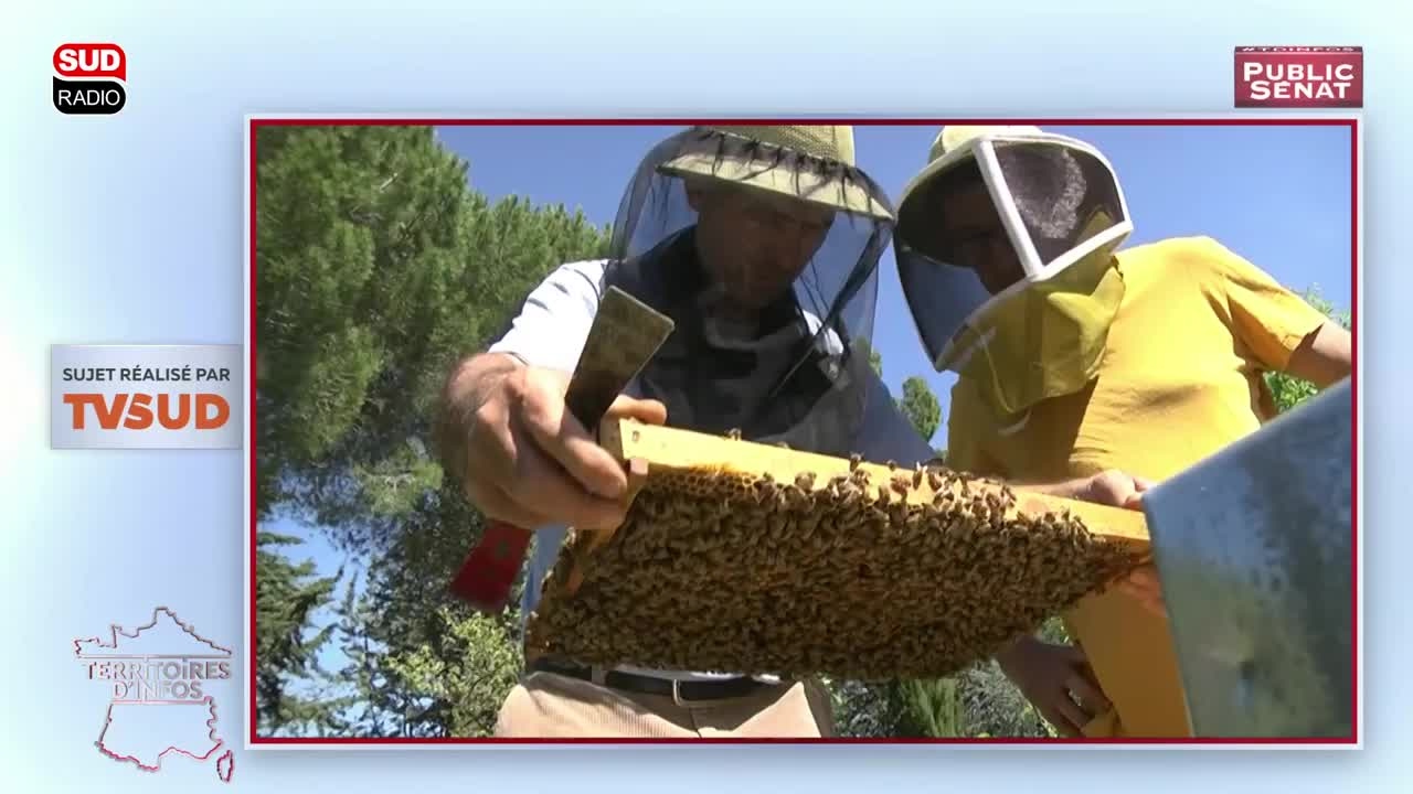 Le journal des territoires -Territoires d'Infos (25/04/2017)