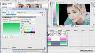 29. Sony Vegas Effect