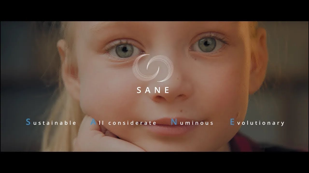 SANE - What Is A Sane Human?