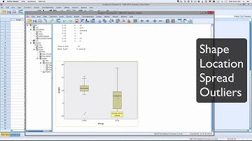 SPI P1 descriptive and plots in SPSS