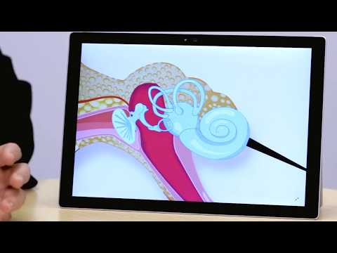 Vertigo and Ear Anatomy by Dr Dana Day