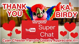 SUPER CHATS & SUPER STICKERS ARE REAL / MONETISED / SUPPORT / ORGANIC FRIENDS / GIVEBACK/ SHARE LOVE