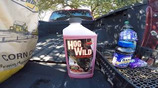 WILD HOG HUNTING: HOG BAIT & TIPS