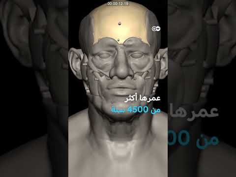 اكتشاف هيكل عظمي يعود لعصر بناء الأهرامات في مصر