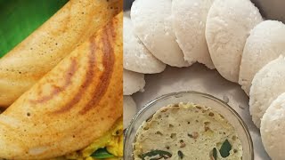 HOW TO MAKE PERFECT IDLI DOSA BATTER||DOSA BATTER,IDLI BATTER@TRADITIONAL NAAZ COOKING@babapatel3540