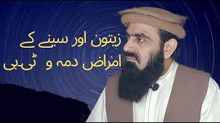 Dr.M.Amin Saqib.Part-6 Olive ( زیتون )for asthma allergy  T.B in showing of natural Medical sciences