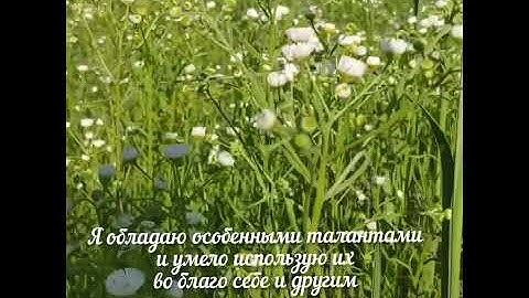 Thumbnail of АФФИРМАЦИИ ДЛЯ РАЗВИТИЯ САМОУВАЖЕНИЯ #аффирмации #афірмації #аффирмациинауспех