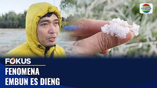 Fenomena Embun Es Dieng | Fokus