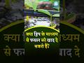 क्या ड्रिप के माध्यम से फसल को खाद दे सकते है? #facts #dripsystem #education #dripirrigation #shorts