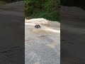 Traction Hobby 1/8 F-150 First Run w/ RWD &amp; Open-Diff