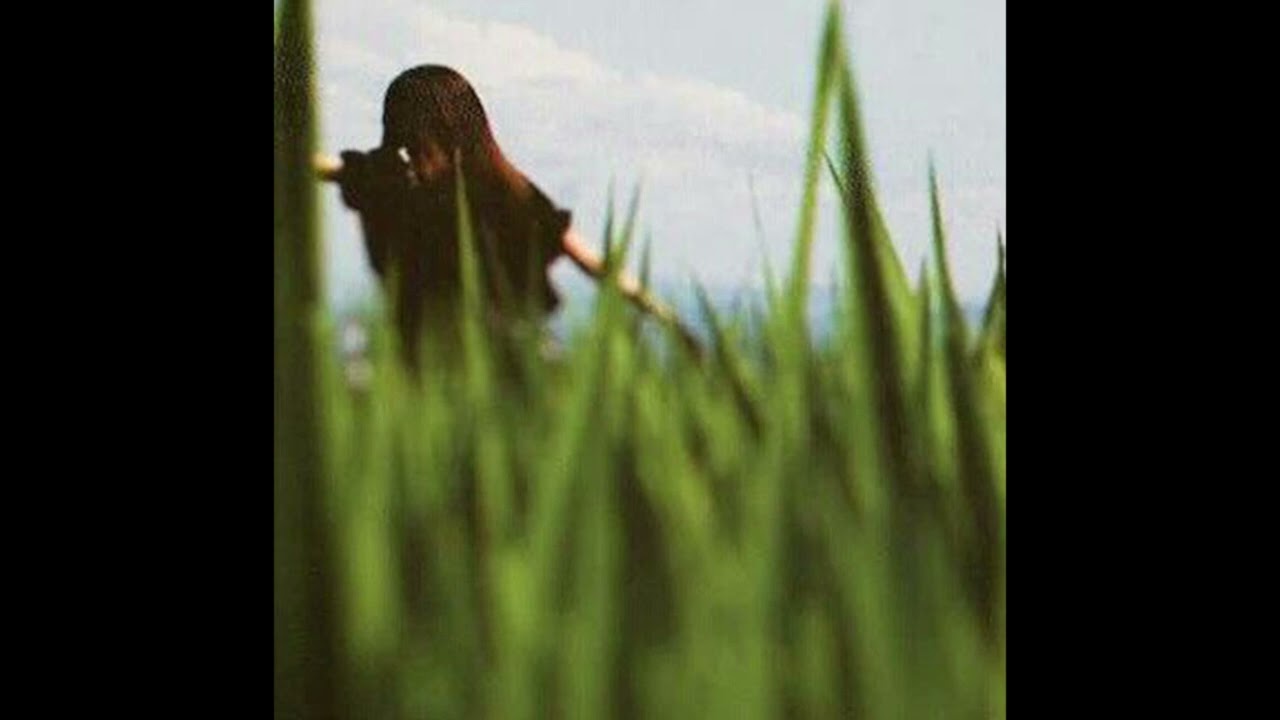 [free for profit] *no drums* acoustic x indie folk type beat - "reality"