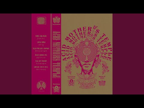 邦楽 Pink Lady Lemonade ACID MOTHERS TEMPLE Acid Mothers Temple / Pink Lady Lemonade