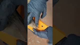 Измеряем копытный угол #hoof #farming #hooftrimming #сельскоехозяйство #агротехнологии #коровы