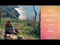POSITANO: THE QUARANTINE DIARIES - EP6 Green beans, Graveyards and Catfights