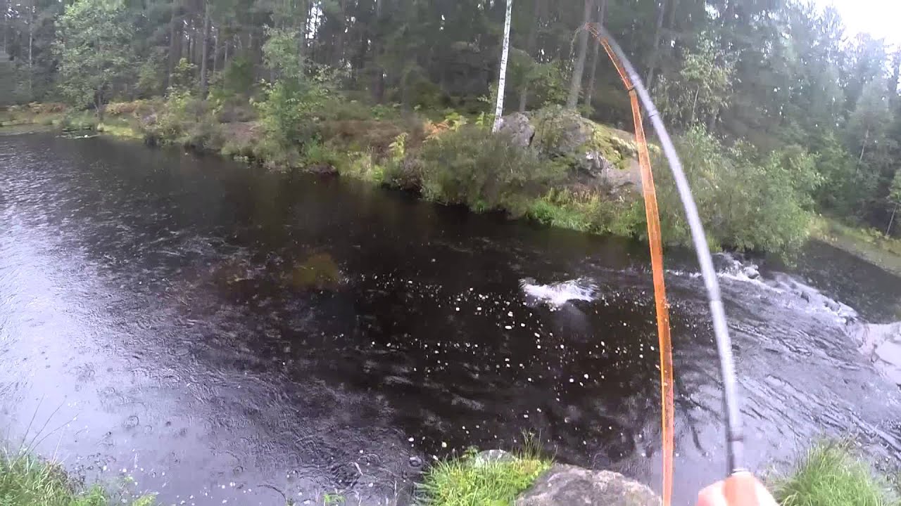 flugstr-mmen-harasj-m-la-hd-youtube
