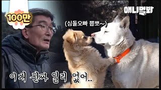 Guardian's Reaction After His Dog's Double Life Is Revealed LOL